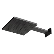 Almar Velvet 300 Верхний душ с кронштейном настенным 30х30 см, 2 реж., цвет: brushed absolute black E044277.AB