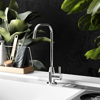 Paini Monoflow Смеситель для питьевой воды поворотный, высота излива 18,3 см, цвет: хром AF103