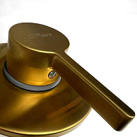 Paini Brera Cмеситель для душа встраиваемый, с внутренней частью, цвет: золото брашированное 74PJ690