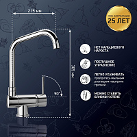 Paini Cox Смеситель для кухни с поворотным изливом, на 1 отв., высота излива 21,7 см, цвет: хром 78CR582KM