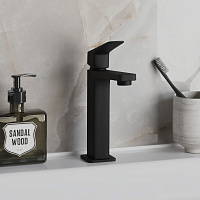 Paini Bari Смеситель для раковины, без донного клапана, высота излива 13,2 см, цвет: черный матовый RTYO205