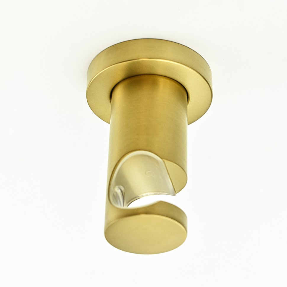 Paini Держатель для ручного душа фиксированный, цвет: золото брашированное 53PJ186TT