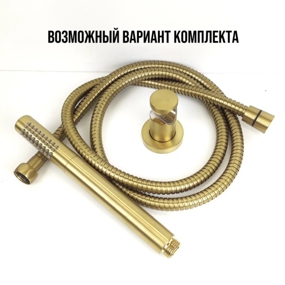 Paini Держатель для ручного душа фиксированный, цвет: золото брашированное 53PJ186TT