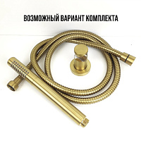 Paini Держатель для ручного душа фиксированный, цвет: золото брашированное 53PJ186TT