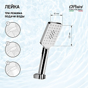 Paini Ravenna Душевая лейка, 1 режим, латунь, цвет: хром RVCR155