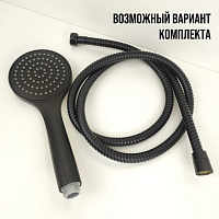 Paini Torino Душевая лейка, 1 режим, латунь, цвет: черный матовый TRYO155