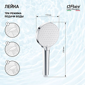 Paini Torino Душевая лейка, 3 режима, латунь, цвет: хром TRCR155F3D110BY