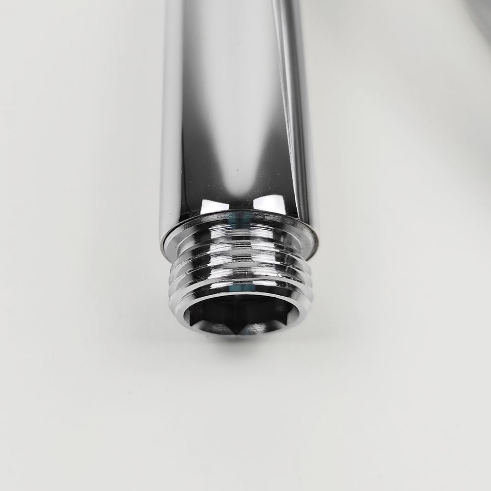 Paini Душевая лейка, 1 режим, латунь, цвет: хром 53CR155/P4