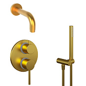 Paini Cox Душевой комплект встраиваемый - смеситель, излив, душ, шланг 170 см, цвет: золото браш 78PJSET26911BATH