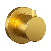 Paini Cox Переключатель потоков на 2 источника, цвет: золото брашированное 78PJ425