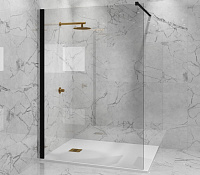 Paini Душевая перегородка 110x195 стекло прозрачное PAINI-WalkIN110C