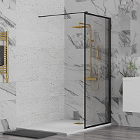 Paini Душевая перегородка 80x195 рисунок рамка PAINI-WalkIN80F