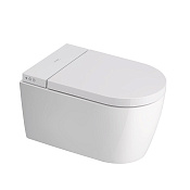 Duravit Starck 1 Унитаз подвесной 37.5x57.5 см безободковый с крышкой и биде, цвет: белый глянцевый 650002012004300 (2510092000+612001012000310)