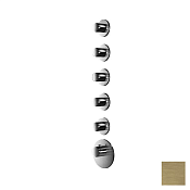 Almar High Flow Round Термостат для душа, внешняя часть на 5 потреб, цвет: PVD brushed high brass E180035.HB