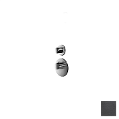 Almar High Flow Round Термостат для душа, внешняя часть на 1 потр., цвет: PVD brushed absolute black E180031.AB