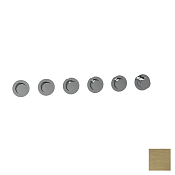 Almar Push Round Термостат для душа, внешняя часть на 5 потребителей, цвет: brushed high brass E180441.HB