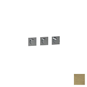 Almar Push Square Термостат для душа, внешняя часть на 2 потребителя, цвет: brushed high brass E180492.HB