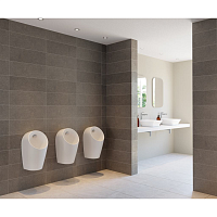 Ideal Standard Sphero Писсуар подвесной безводный, цвет: euro white E189601