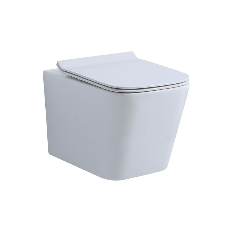 Nemo Крышка-сиденье с микролифтом, цвет: glossy white 883-2C