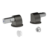 Gessi Петли плавного закрывания сиденья унитаза и пробки для отв., цвет: black metal brushed PVD 37584#707