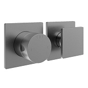 Treemme 5mm Смеситель для душа встраиваемый, 2 потребителя, внешняя часть, цвет: нержавеющая сталь RWIT28F2IS03