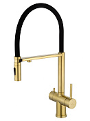 Wonzon & Woghand Смеситель для кухни с гибким изливом и каналом для фильт. воды, цвет: браш. золото WW-88458009-BG