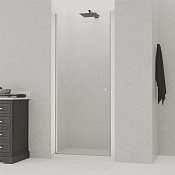 RGW Dolphin Душевая дверь в нишу, Easy Clean, 80х195h см, стекло прозрачное 6 мм, цвет: хром глянец 54930308-11