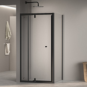 RGW Passage Душевой уголок 100х100х185h см, Easy Clean, стекло прозрачное 6 мм, цвет: черный матовый 41083200-014