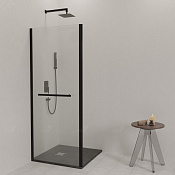 RGW Боковая стенка, Easy Clean, 100х200h см, стекло прозрачное 6 мм, цвет: черный матовый 352206300-14