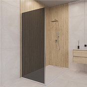 RGW Боковая стенка, Easy Clean, 90х195h см, стекло тонированное 6 мм, цвет: хром глянцевый 06220309-31