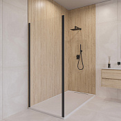 RGW Боковая стенка, Easy Clean, 100х190h см, стекло прозрачное 6 мм, цвет: черный матовый 352205500-14