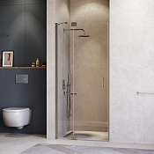 RGW Hotel Душевая дверь в нишу, Easy Clean, 120х200h см, стекло прозрачное 8 мм, цвет: серый матовый 350601412-110