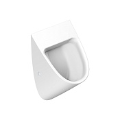 Catalano Comfort Писсуар подвесной с отверстием под крышку Rimless 30х54h см, цвет: белый матовый 0932541021