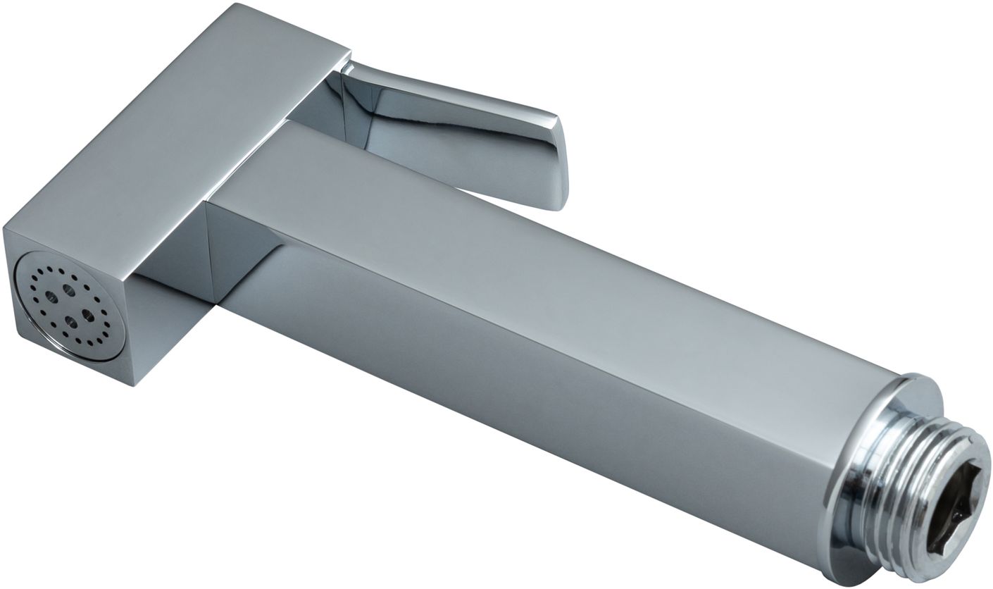 Allen Brau Infinity Гигиеническая лейка, цвет: хром 5.21A05-00