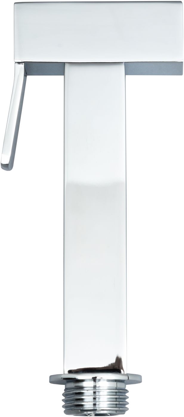 Allen Brau Infinity Гигиеническая лейка, цвет: хром 5.21A05-00