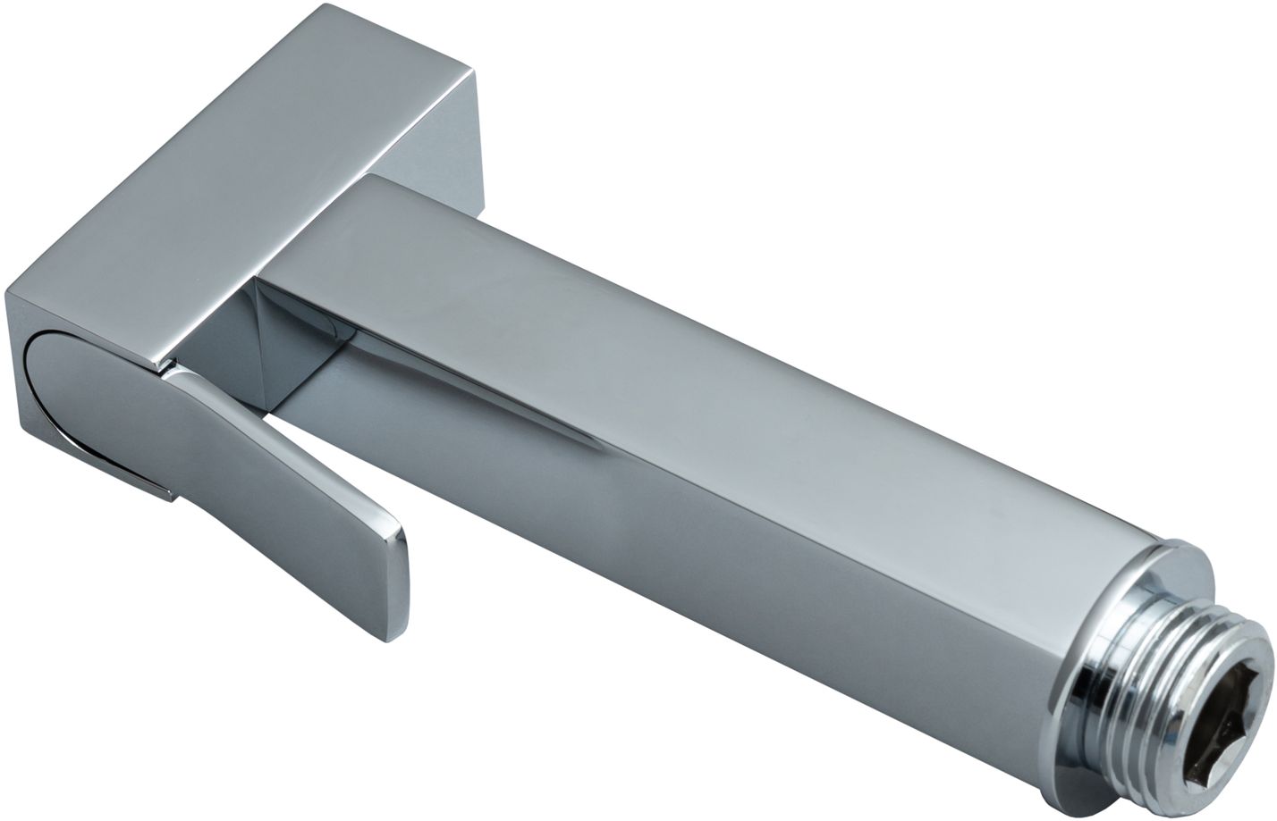 Allen Brau Infinity Гигиеническая лейка, цвет: хром 5.21A05-00