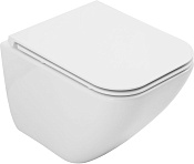 Allen Brau Liberty Чаша подвесного унитаза 49x36 см смыв торнадо, цвет: белый глянцевый 4.33012.20