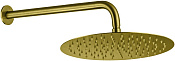 Allen Brau Priority Верхний душ круглый d30 см, с кронштейном 42,5 см, цвет: золото брашированное 5.31A17-GB