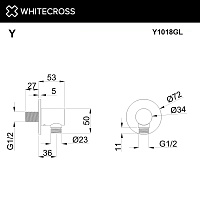 Whitecross Y Шланговое подключение, цвет: золото глянцевое Y1018GL