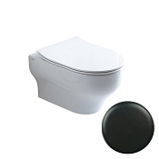 Olympia Clear Унитаз подвесной 50х36 см безободковый, с креплением, без крышки, цвет: черный матовый CLE1202R23