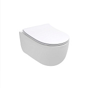 Olympia Tornado Унитаз подвесной 53х36 см безободковый, смыв торнадо, без крышки, цвет: белый глянец TOR1202V01