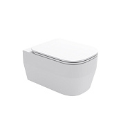 Olympia Tutto Evo Унитаз подвесной 53х36 см безободковый, без крышки, цвет: белый матовый TUE1202R11