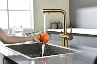 Paulmark Serpentine Смеситель для кухни с выдвижным изливом и подключ. фильтра, цвет: браш. золото Se213222-BG