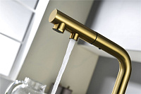 Paulmark Serpentine Смеситель для кухни с выдвижным изливом и подключ. фильтра, цвет: браш. золото Se213222-BG