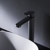 Am.Pm Func Смеситель для раковины высокий, без донного клапана, излив 17 см, цвет: черный матовый F8F92022