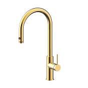 Paulmark Galant Смеситель для кухни с выдвижным изл. и возм. подключ. фильтра, цвет: светлое золото Ga213077-LG
