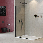 Cezares Liberta Душевая перегородка 120x195h см, прозрачное стекло 8 мм, цвет: черный матовый LIBERTA-L-1-TB-120-C-NERO