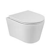 Cezares Liner Унитаз подвесной безободковый 37x49 см, смыв торнадо, с крышкой, цвет: белый глянцевый CZR-38083-49-TH-TOR/SC